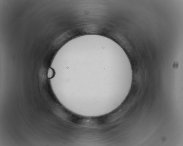X0000101680117200808071118