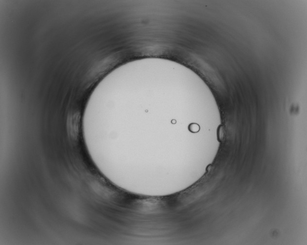 X0000101680118200808071118