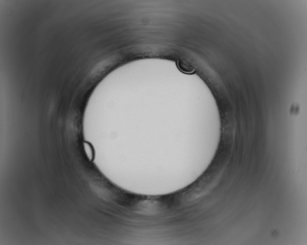 X0000101680119200808071118