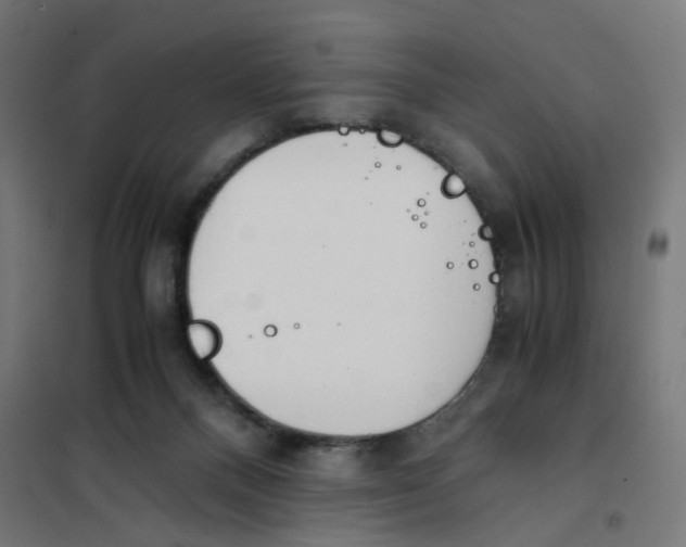 X0000101680120200808071118