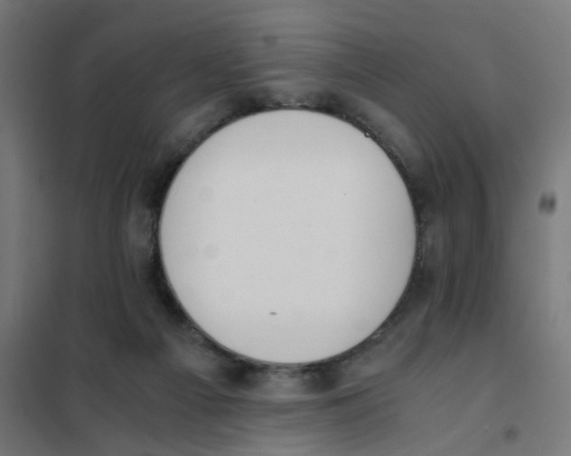 X0000101680121200808071118