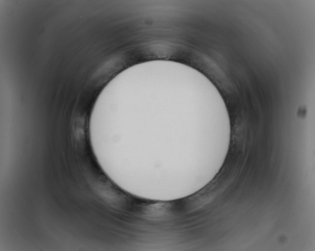 X0000101680122200808071118