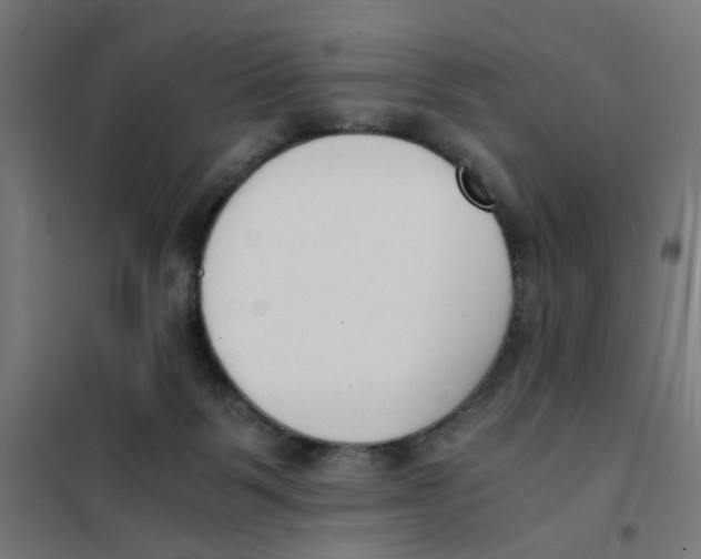 X0000101680123200808071118