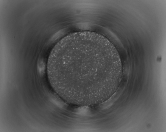 X0000101680124200808071118