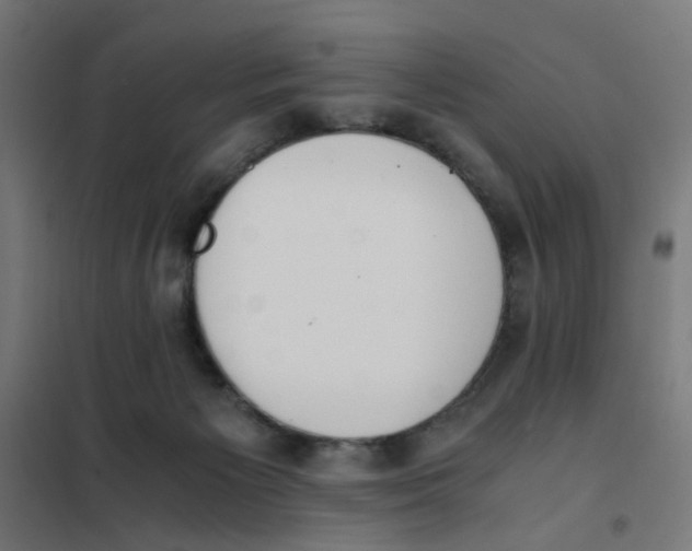 X0000101680125200808071118