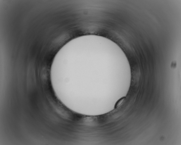 X0000101680126200808071118