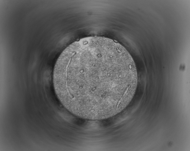 X0000101680127200808071118