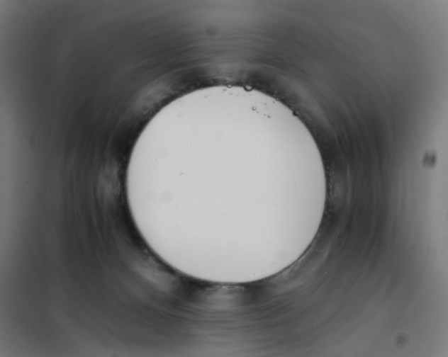 X0000101680128200808071118
