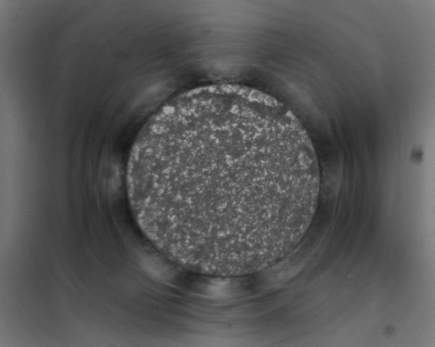 X0000101680130200808071118