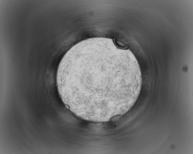 X0000101680131200808071118