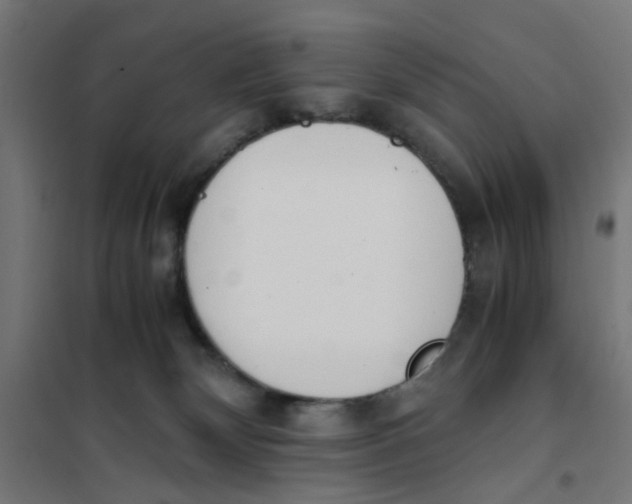 X0000101680132200808071118