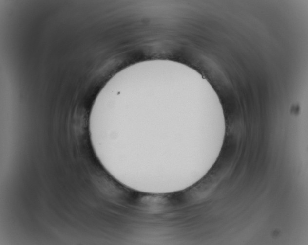 X0000101680133200808071118