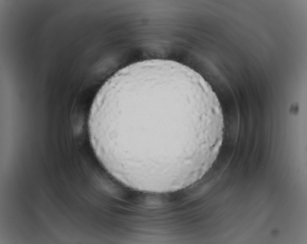 X0000101680134200808071118