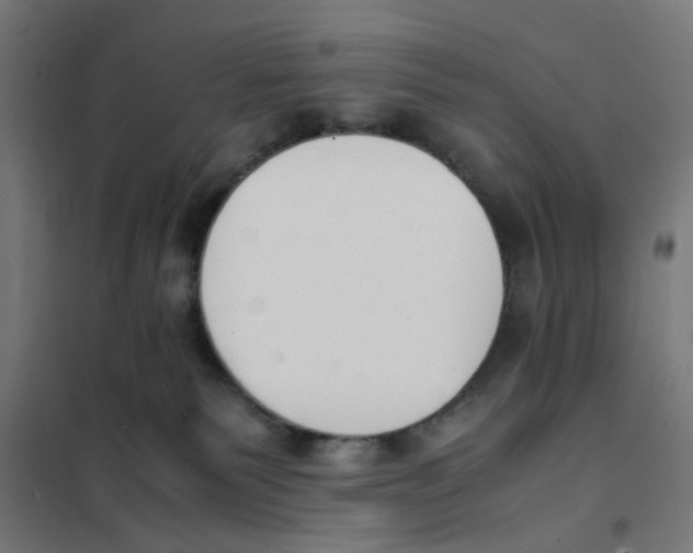 X0000101680135200808071118