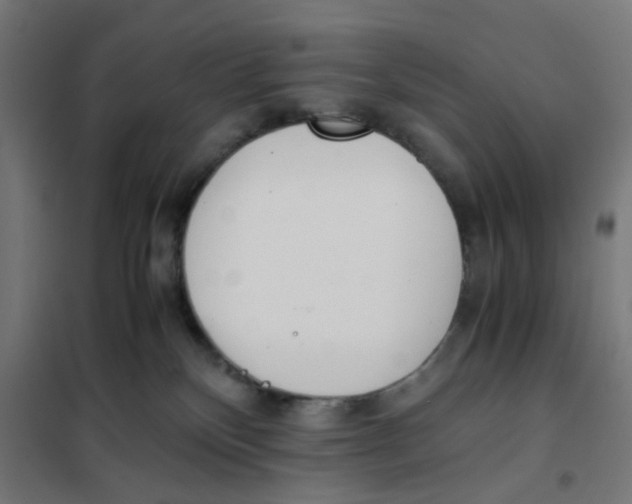 X0000101680136200808071118