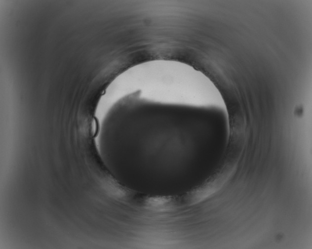 X0000101680139200808071118