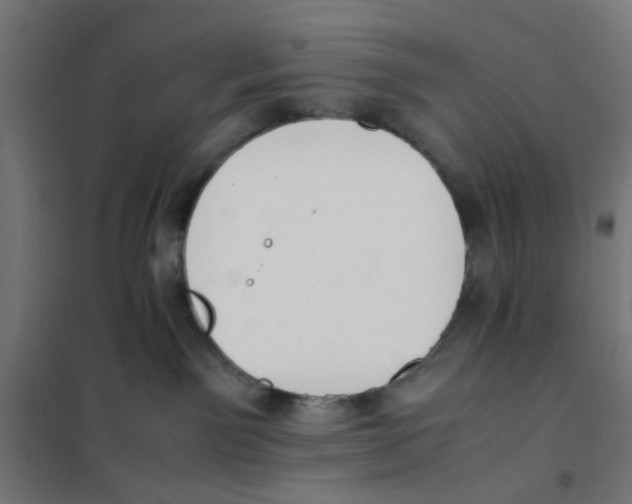 X0000101680141200808071118