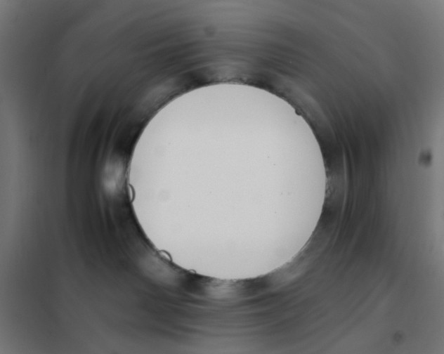 X0000101680142200808071118