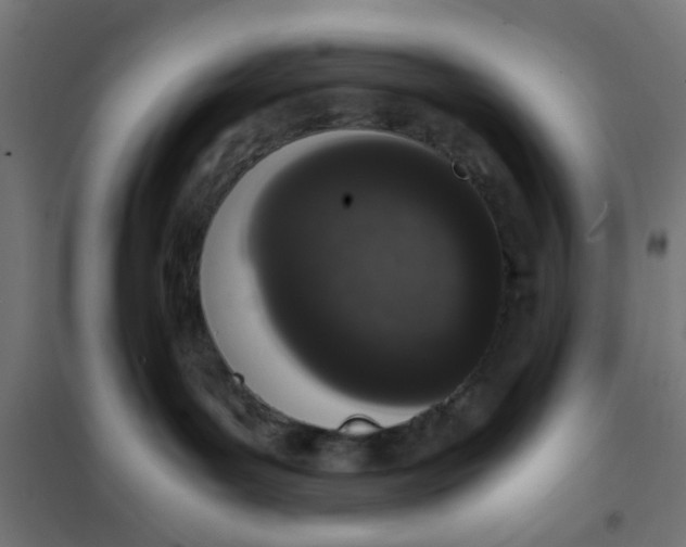X0000101680143200808071118
