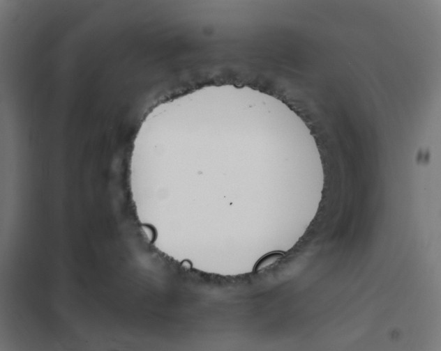 X0000101680144200808071118