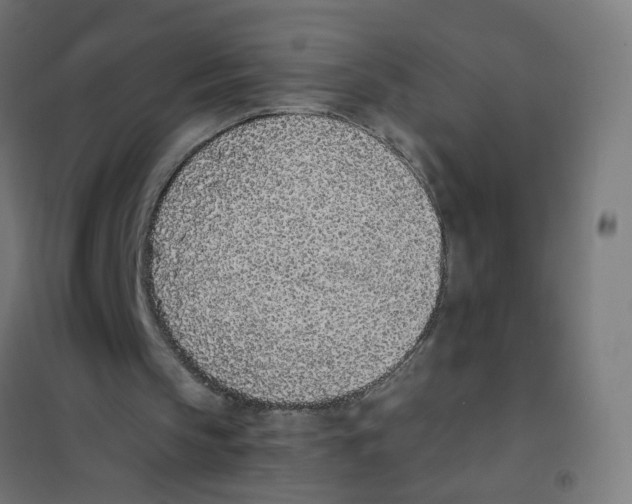 X0000101680145200808071117