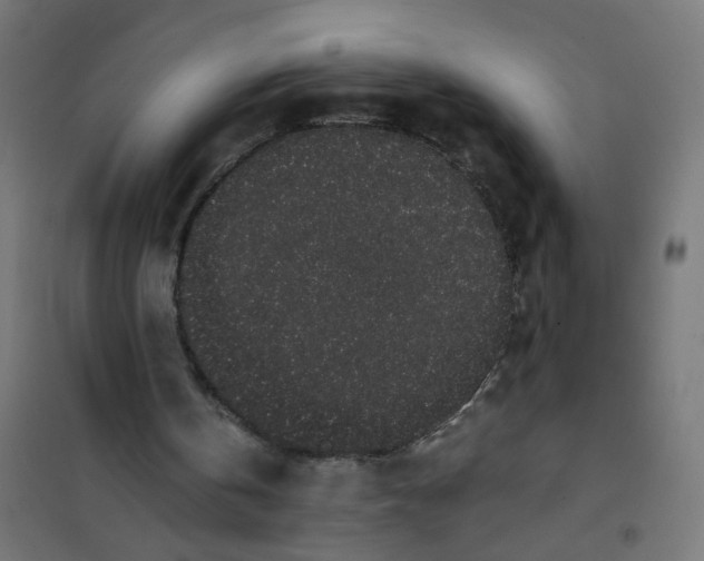 X0000101680146200808071117