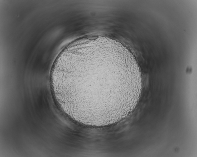 X0000101680147200808071117