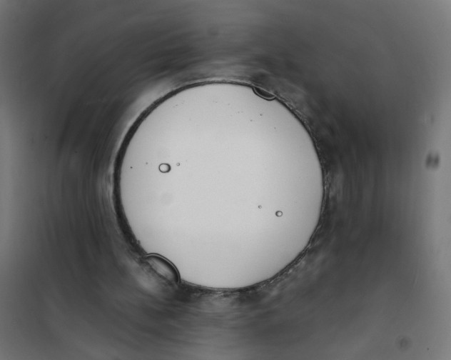 X0000101680148200808071117