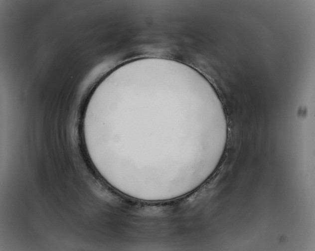 X0000101680149200808071117
