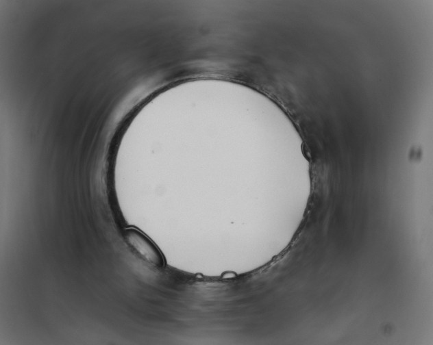 X0000101680150200808071117