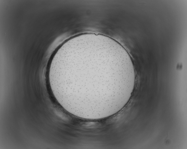 X0000101680151200808071117