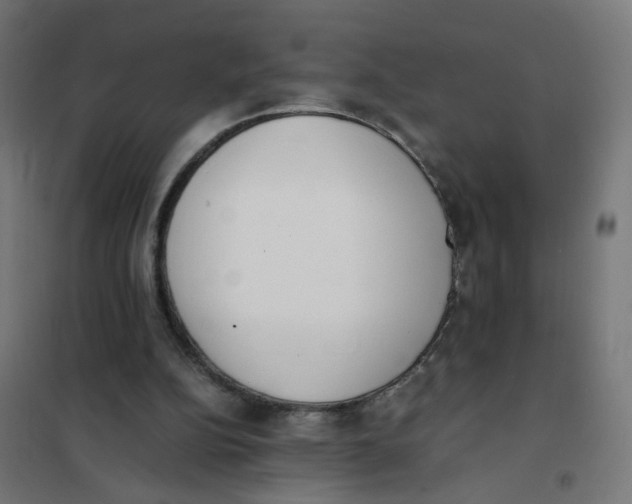 X0000101680152200808071117