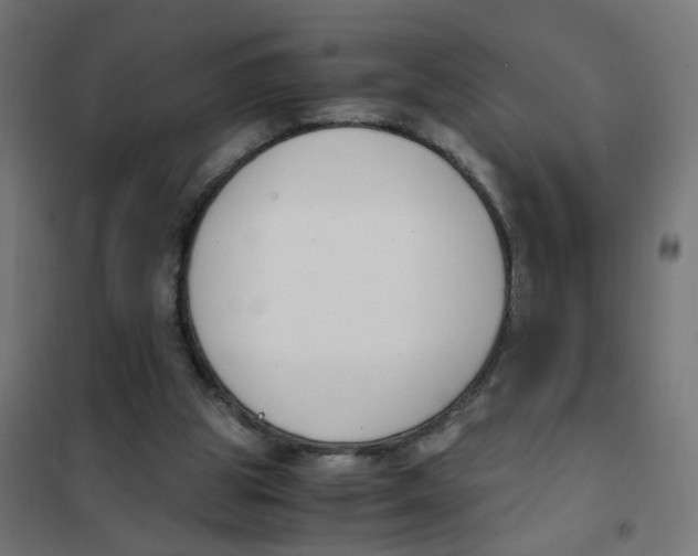 X0000101680153200808071117