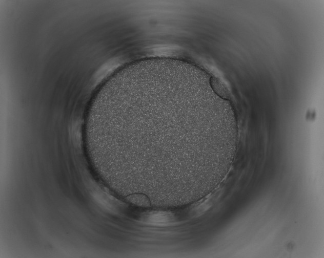 X0000101680154200808071117