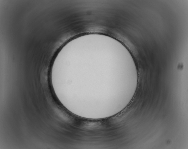 X0000101680155200808071117
