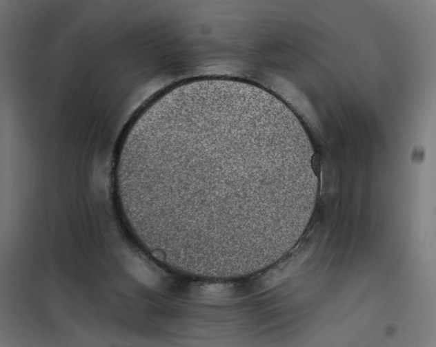 X0000101680156200808071117