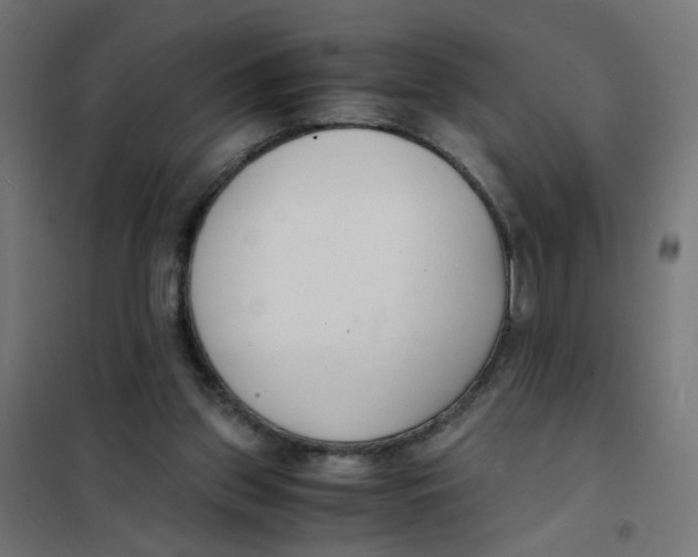 X0000101680157200808071117