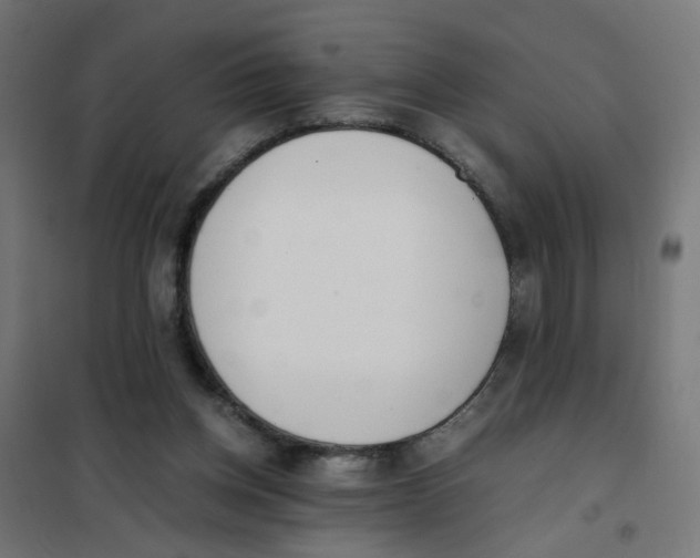 X0000101680158200808071117