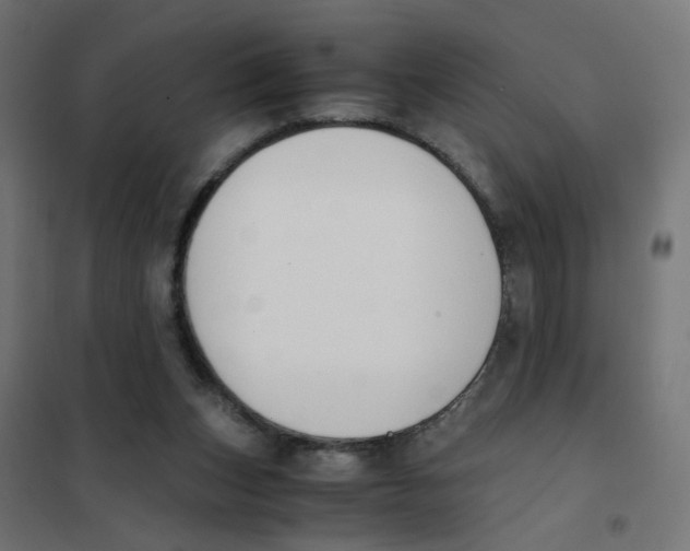 X0000101680159200808071117