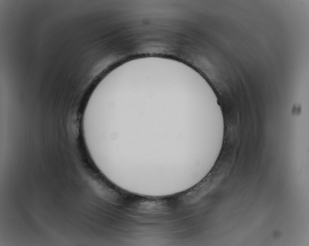 X0000101680160200808071117