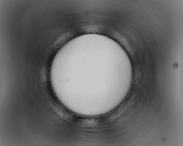 X0000101680161200808071117