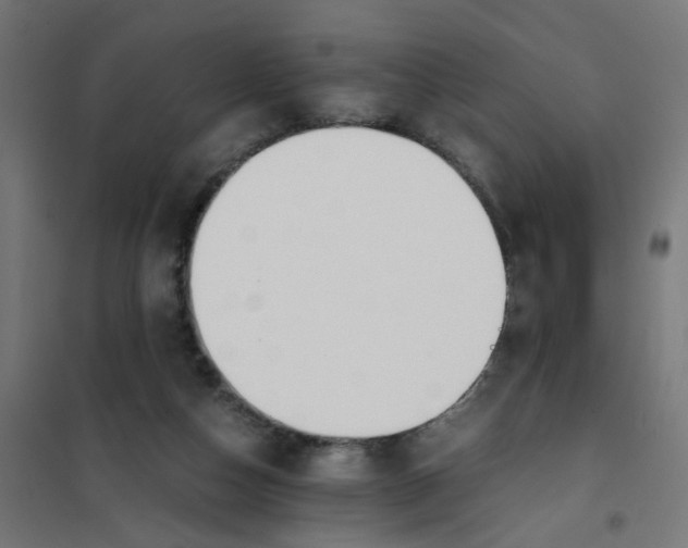 X0000101680162200808071117