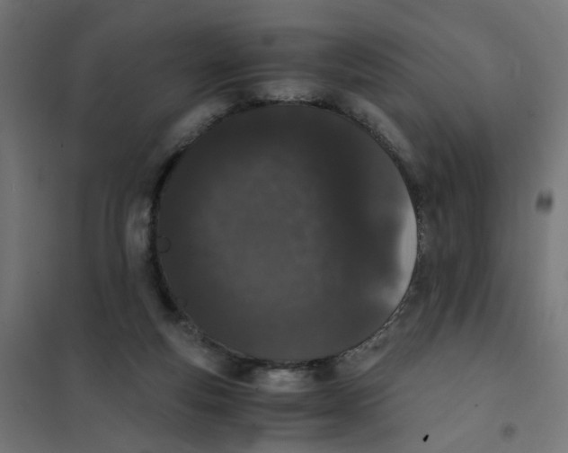 X0000101680163200808071117