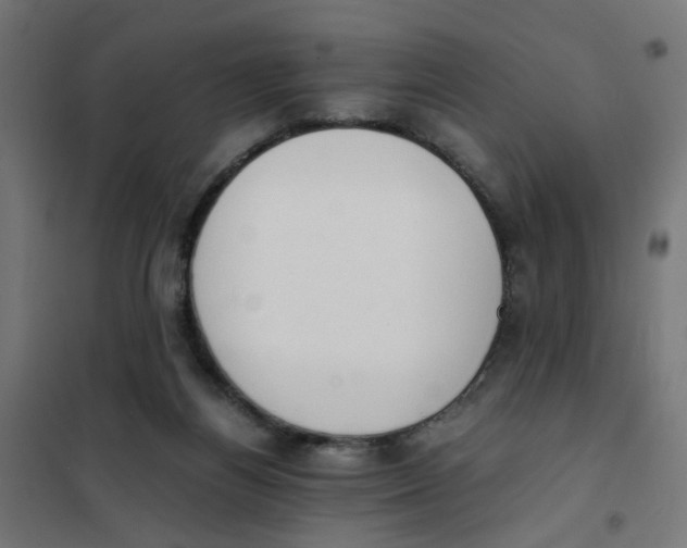 X0000101680164200808071117