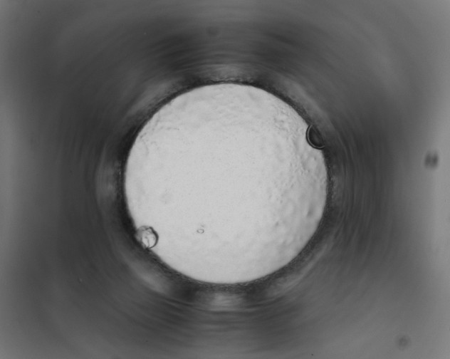 X0000101680165200808071117