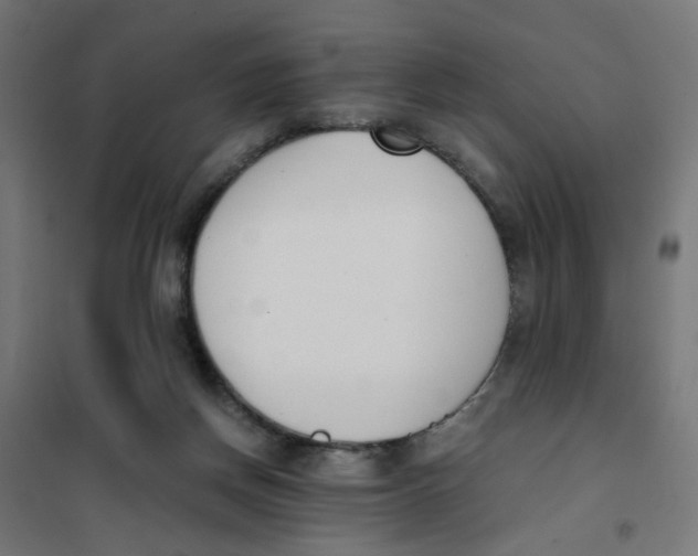 X0000101680166200808071117