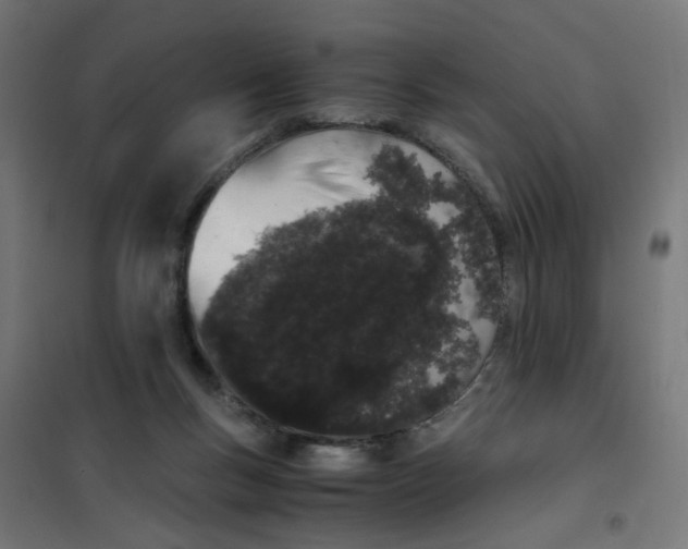 X0000101680167200808071117
