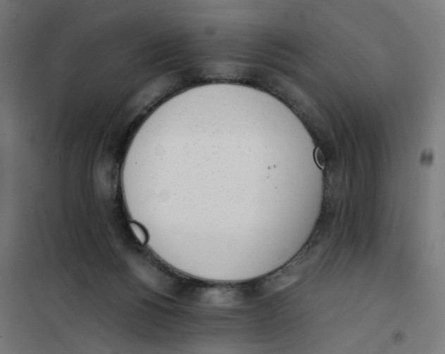 X0000101680168200808071117