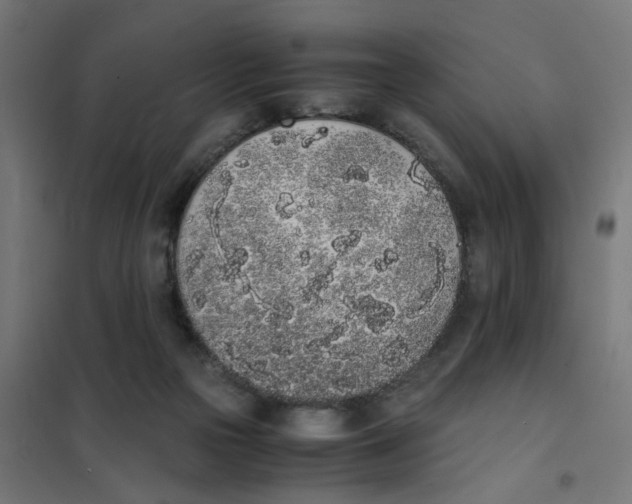 X0000101680169200808071117