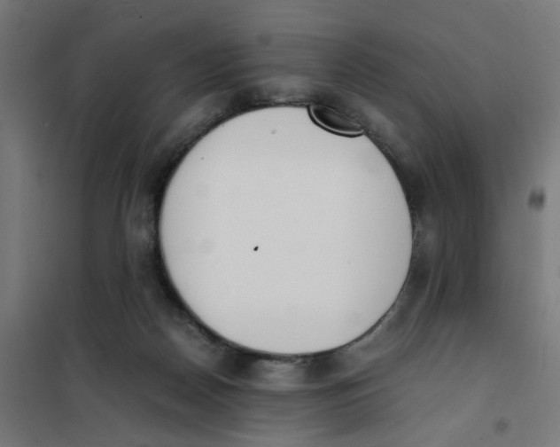 X0000101680170200808071117